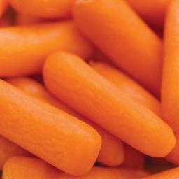 Baby_Carrots1's profile picture. 