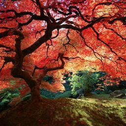 cphoover's profile picture. 