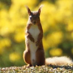 Spectacularly located #holidaycottages in the heart of the Eden Valley; #LakeDistrict fringe, for fishing visit https://t.co/yg5jnIgaRW