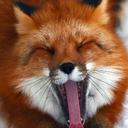 Ellis Leah Lund - @EllisLeahLund - Twitter