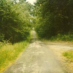 mformagpie's profile picture. Kindness.