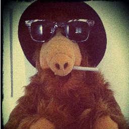 zole_lcdc's profile picture. 