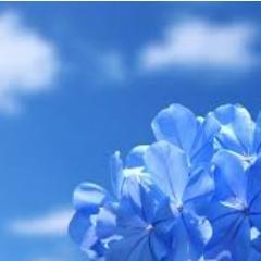 alina_mirzoyan's profile picture. Translator at Edit Print Publishing House