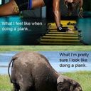 Jas Shergill - @jasshergill_ - Twitter