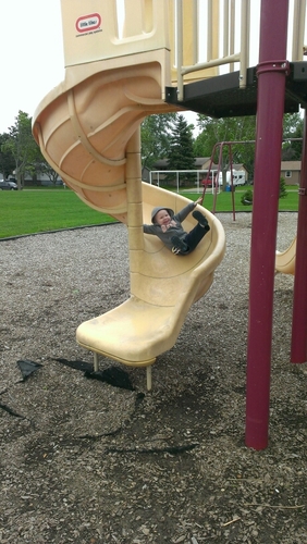 lauralee99's profile picture. 