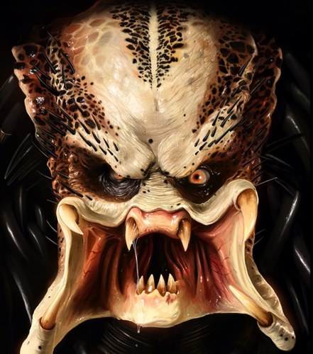 -reptile geek, just living life with rock.