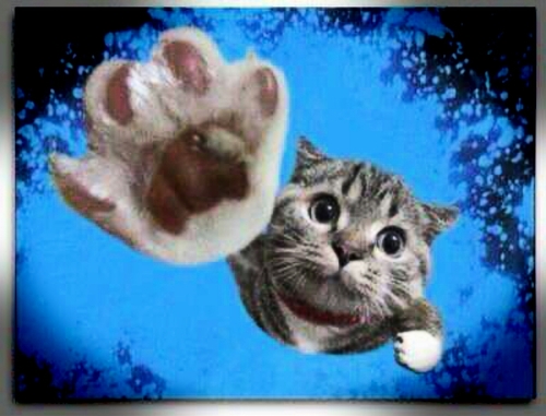 KAZU☆ (카즈 / かず)  