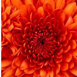 124trina's profile picture. 