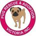 PUG RESCUE VICTORIA (@pugrescuevic) Twitter profile photo