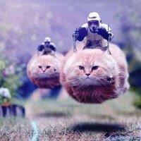 Crab823 (@crab823) 's Twitter Profile