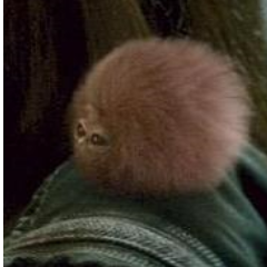 No soy una bola de algodón de azúcar, soy un puffskein en miniatura.