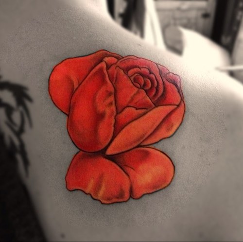 DTGuttergirly's profile picture. Still a frazzled mum to 4! Not A fan of GM