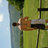 johno003's profile image