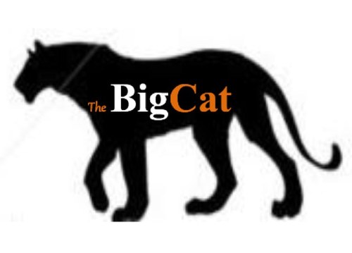 BigCatTourney's profile picture. The BigCat Invitational Golf Tournament. #TeamGraff 2 wins vs #TeamMRF 2 wins. BigCatTourney@gmail.com -- @bccomissioner