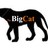 BigCatTourney's profile image