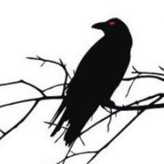 Emre Impraimoglu Profile