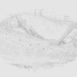 TirocchiMassimo's profile picture. Bamboo Rodmaker