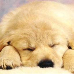 1001kruime's profile picture. 