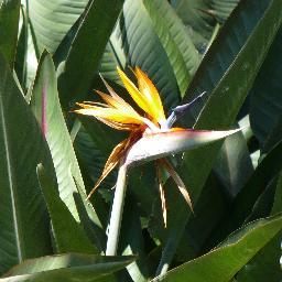 mrschris51's profile picture. 