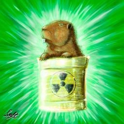 marmota_rad Profile Picture