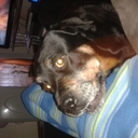 Gail Simon - @GailSimon16 - Twitter