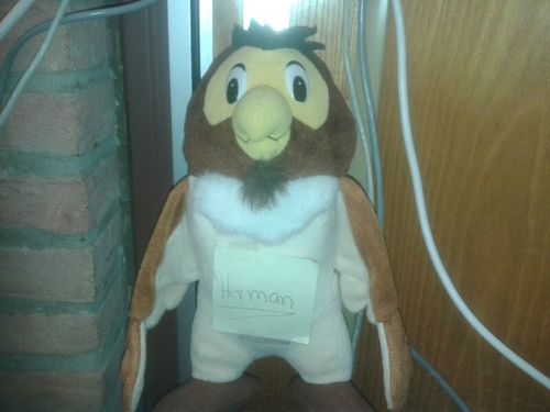 scs delft groep 8 mascotte