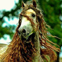 مريم الحمادي (@58_mariam) Twitter