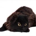 Ursula Randall - @Ursh2105 - Twitter