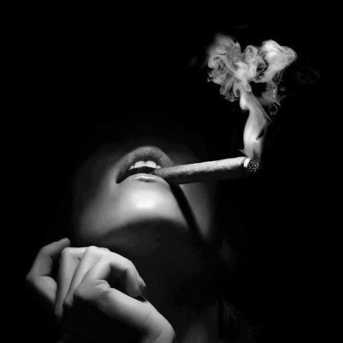 barbottecindy's profile picture. 