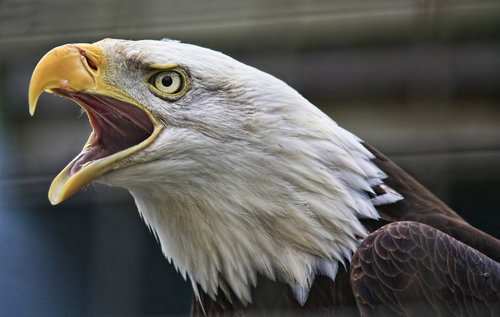 isiktekinm's profile picture. 