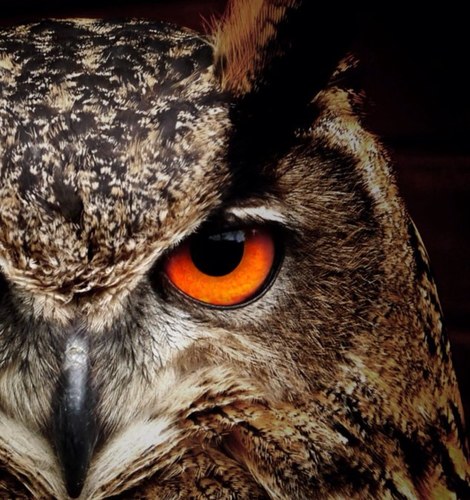 NIGHTWATCH08's profile picture. Researcher. Small unit tactics. French, Arabic, Spanish, & Hebrew translator. Likes/Retweets are generally only for me to keep track of topics I’m following.