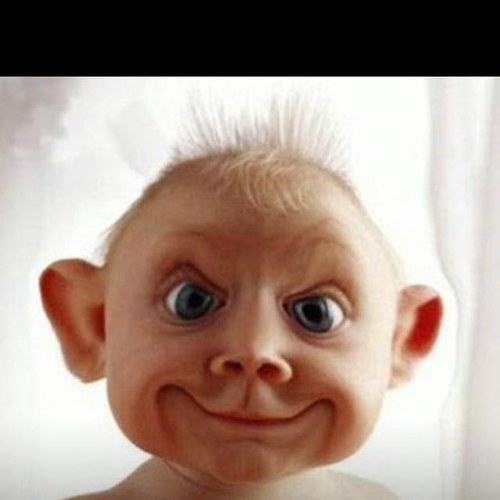 d12docsloan's profile picture. rockstar podiatrist