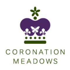 Working to create 90 new meadows across the UK using seed from ancient flower-rich Coronation Meadows