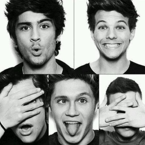 eughfangirl's profile picture. Starting a new twitter account is always awkward sigh here you go, I'm basically in every fandom you could think of