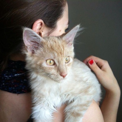 JulesDetects's profile picture. 