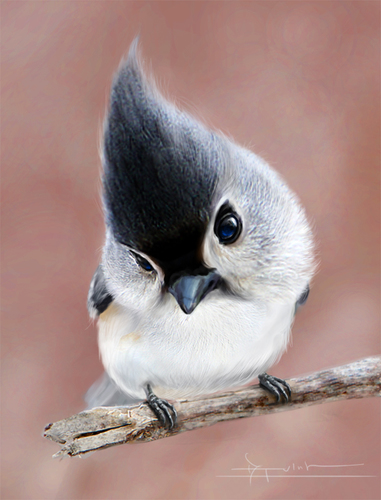 Little Bird
