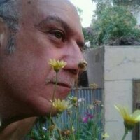 اسامه غريب (@osamagharib8) 's Twitter Profile