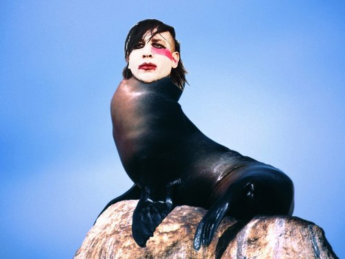 #MarilynManson
Всем рыбы и абсента!
Official group: http://t.co/pMb1cztiP0