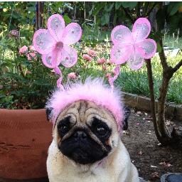 bkteac's profile picture. 