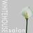 Whitehouse Salon