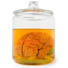 ntngu's profile picture. Poker player. Never tilt; never give up.