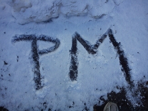 pitchmodulation's profile picture. Desde el cielo, a toda velocidad, volando en zig zag... Hace dos lunas que dejamos el horizonte atrás. Hoy volvemos para ver algo que se vuelve a mover...