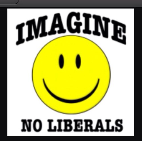 Conservative, Supports Tea Party, small business owner 25yr, life member NRA, Hot Rodder, enyoying retirement, Screw PC, Go SeaHawks