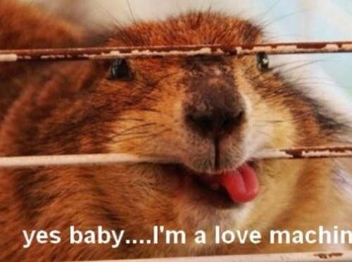 bunnyhumor's profile picture. 