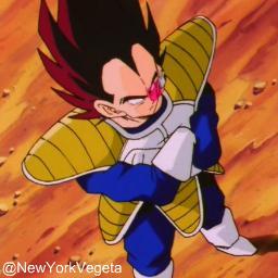 I am Vegeta, the renown prince of all saiyans. I recently moved with Bulma and now live in New York City to fight along side with Kakarot. (Multiverse DBZRP)