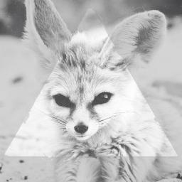 A Fennec Fox é sua fuga online para se conectar com o estilo de vida de outras décadas. Com foco principal em suas divas, músicas, moda e filmes.