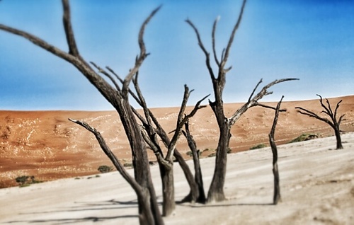 Zakaria_1968's profile picture. 