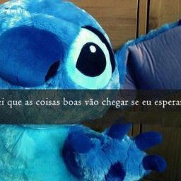 kkkkkkkkkkkkk   broder