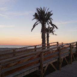 playademoncofa's profile picture. Ven a la Playa de Moncofa.