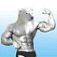 panzerbjrn's profile picture. 